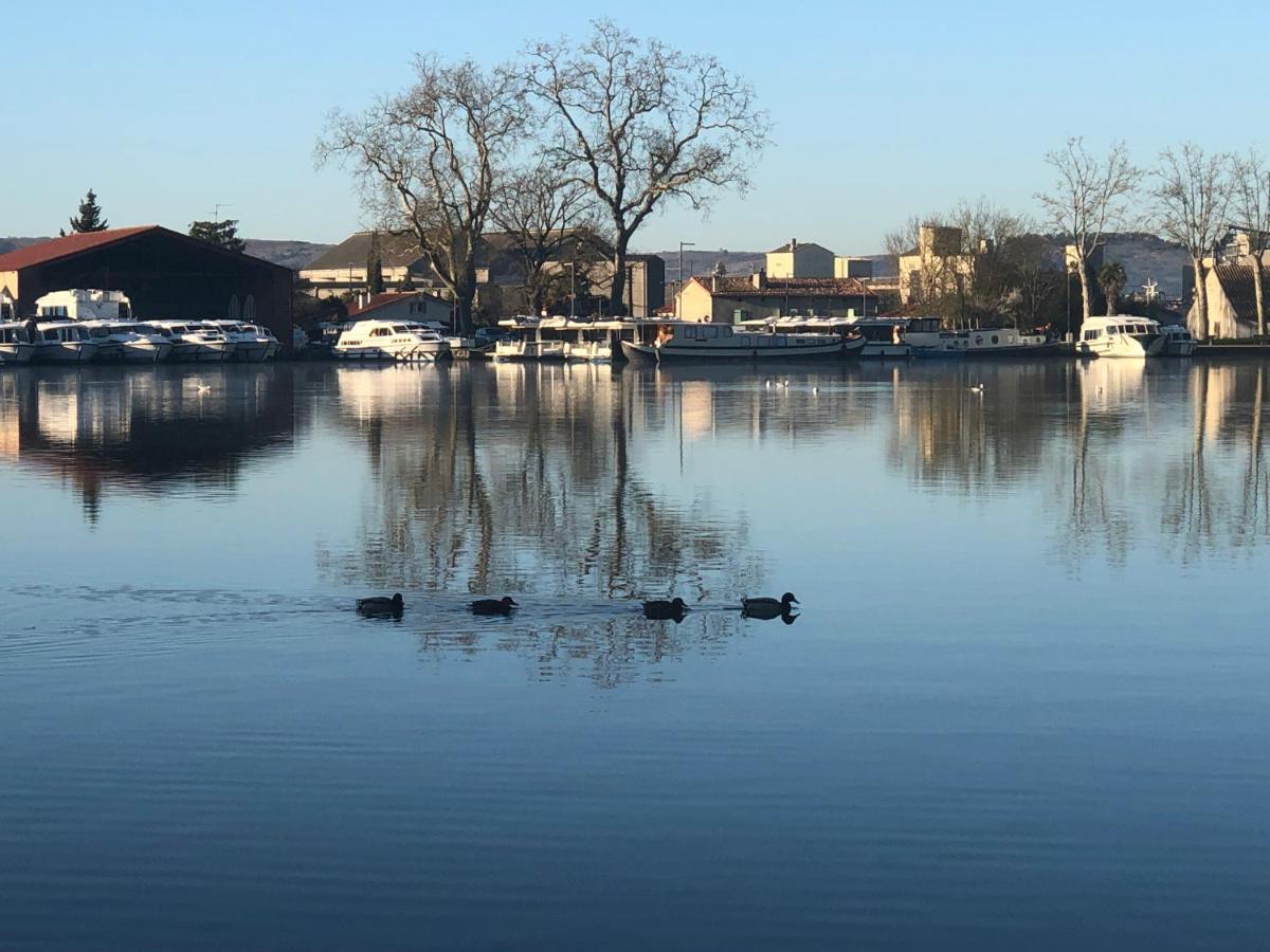 Detente Au Fil De L Eau Jardin Barbecue Pour 4 Personnes Castelnaudary Esterno foto